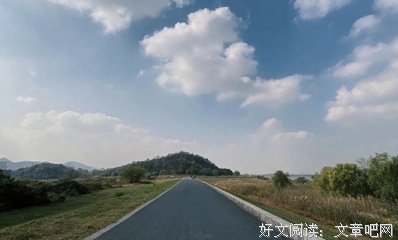 精要主义读后感精选