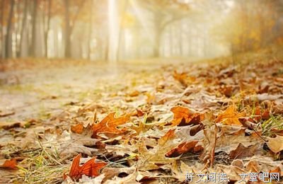 随风而去的语句摘抄_关于随风而去的语句