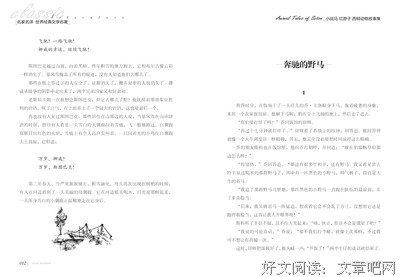 战马读后感100字