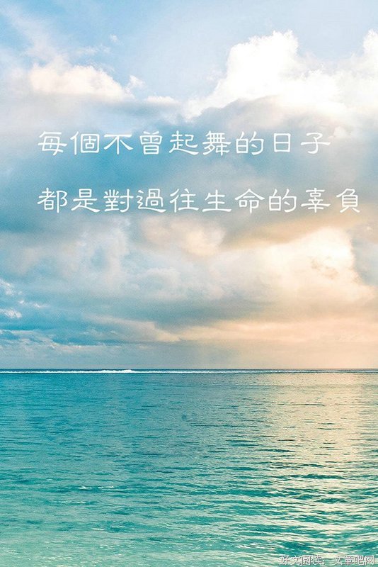 《每一个不曾起舞的日子，都是对生命的辜负》读后感锦集