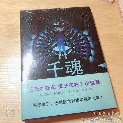 《千魂》读后感1000字