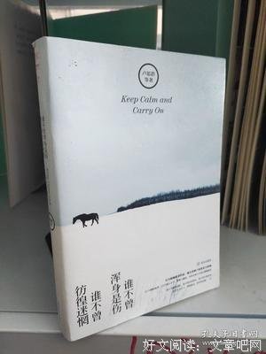 谁不曾浑身是伤，谁不曾彷徨迷惘的读后感大全
