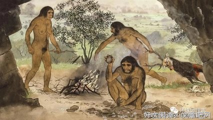 《极简人类史》读后感精选