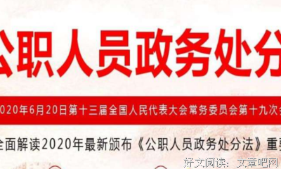 律师与法治读后感1000字