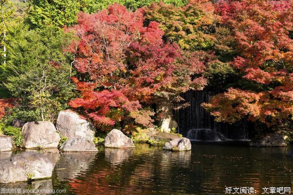 《秋天的花园》经典影评1000字