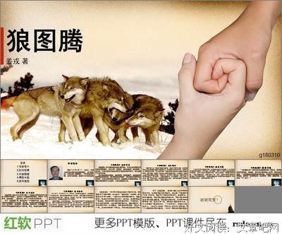 《天意》的读后感大全