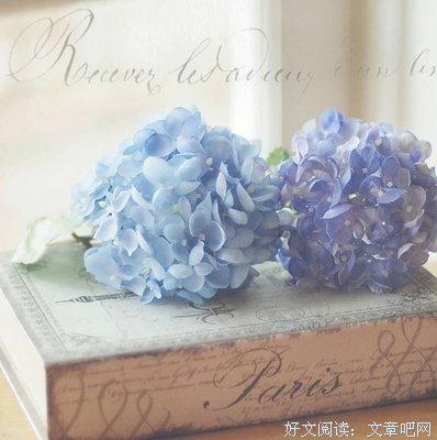 伤的优美句子