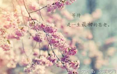 曾经年少优美的句子