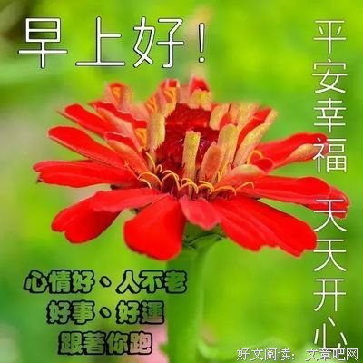 莫欺少年穷优美的句子