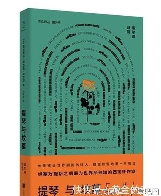 提琴与坟墓：洛尔迦诗选读后感精选