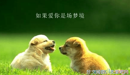 《幽默爱情》的句子