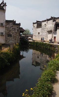 有关悦墨的句子