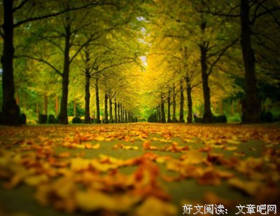 生活颂优美的句子