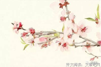 爱情好词好句