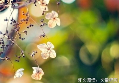 伤感的优美句子