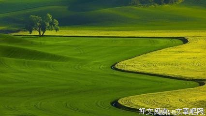  哲思句子大全