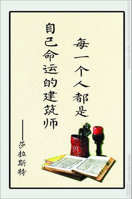 2021莎拉·格鲁恩名言