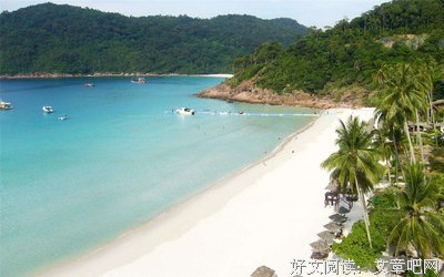 最新的《看海的人》小说句子大全