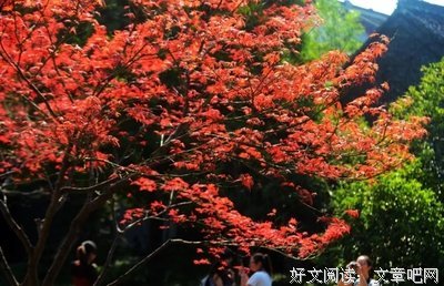 《真名实姓》语录摘抄