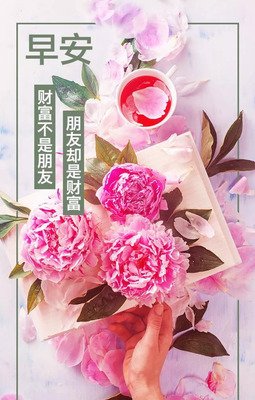 最新的《知鱼之乐》经典语句