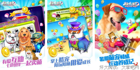 最新的《神犬小七》经典语句