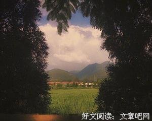 最新的《禅定荒野》经典的句子