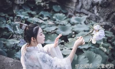 最全的《秋落春花》经典名句大全