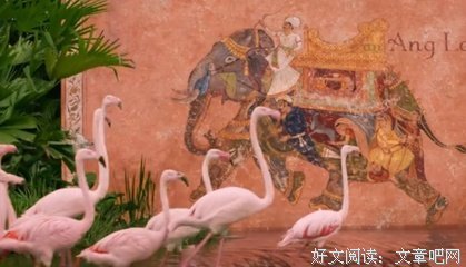 《少年派的奇幻漂流》经典影评1000字