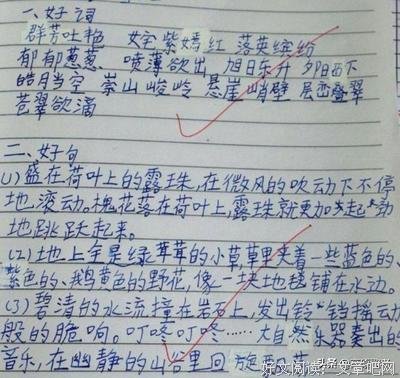 《孩子：挑战》读后感摘抄