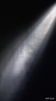 特立独行的句子