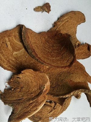 《过江龙》经典观后感有感