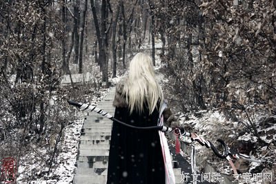 《霹雳兵燹之刀戟戡魔录》经典观后感集