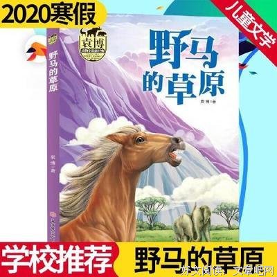 《《小说课》（贰）》经典读后感有感
