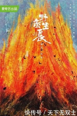 良辰多喜欢3读后感100字