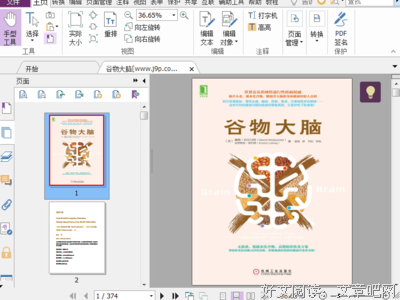 《大脑的未来》读后感100字