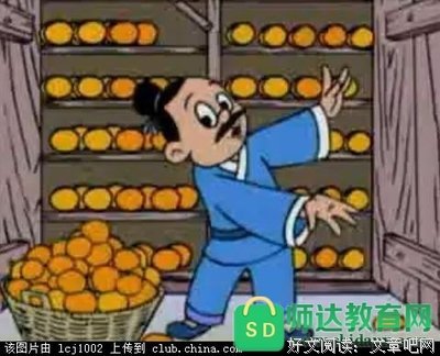 桔子小鸟的读后感大全