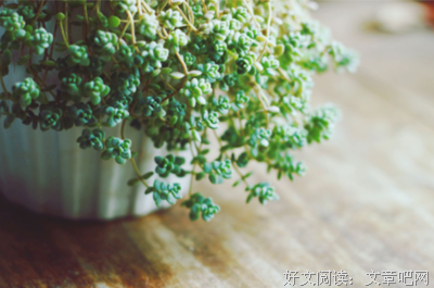 喜欢的人名句欣赏