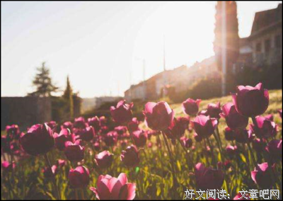 我与世界只差一个你的优美句子