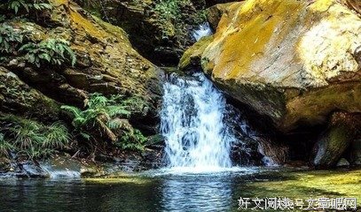 、弱水三千句子大全