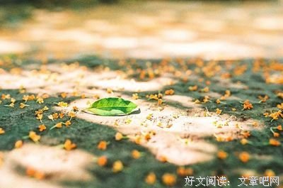 关于香之集的句子