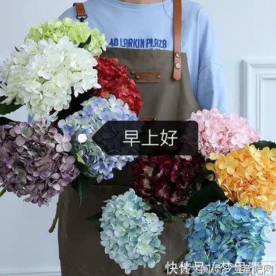 阳光心态句子