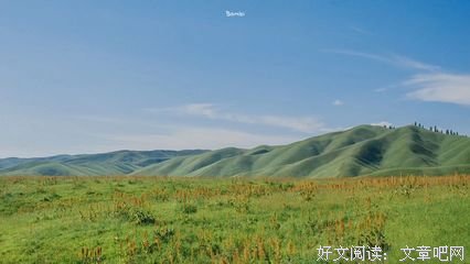辛夷坞的优美句子