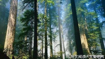 最美的年华，遇上最珍贵的你经典的句子