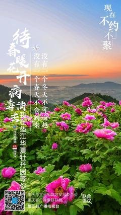 《再美的现实也会有不堪入目的地方》的句子
