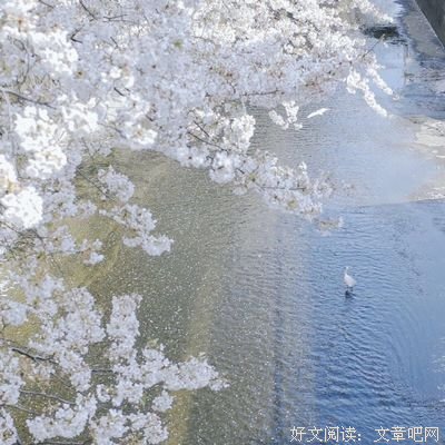 《收集》的句子