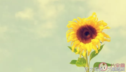 心灵鸡汤优美的句子