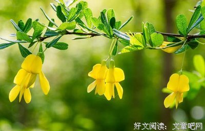 最新的《第二人生》经典句子