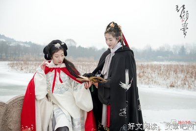 最新的《红颜若雪》佳句摘抄