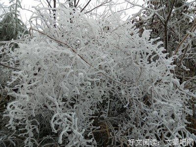 《长途漫步》的影评大全