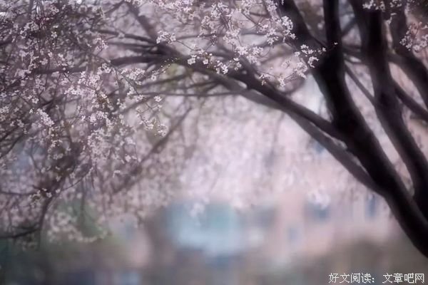 生活可以忙碌，但心态要悠闲